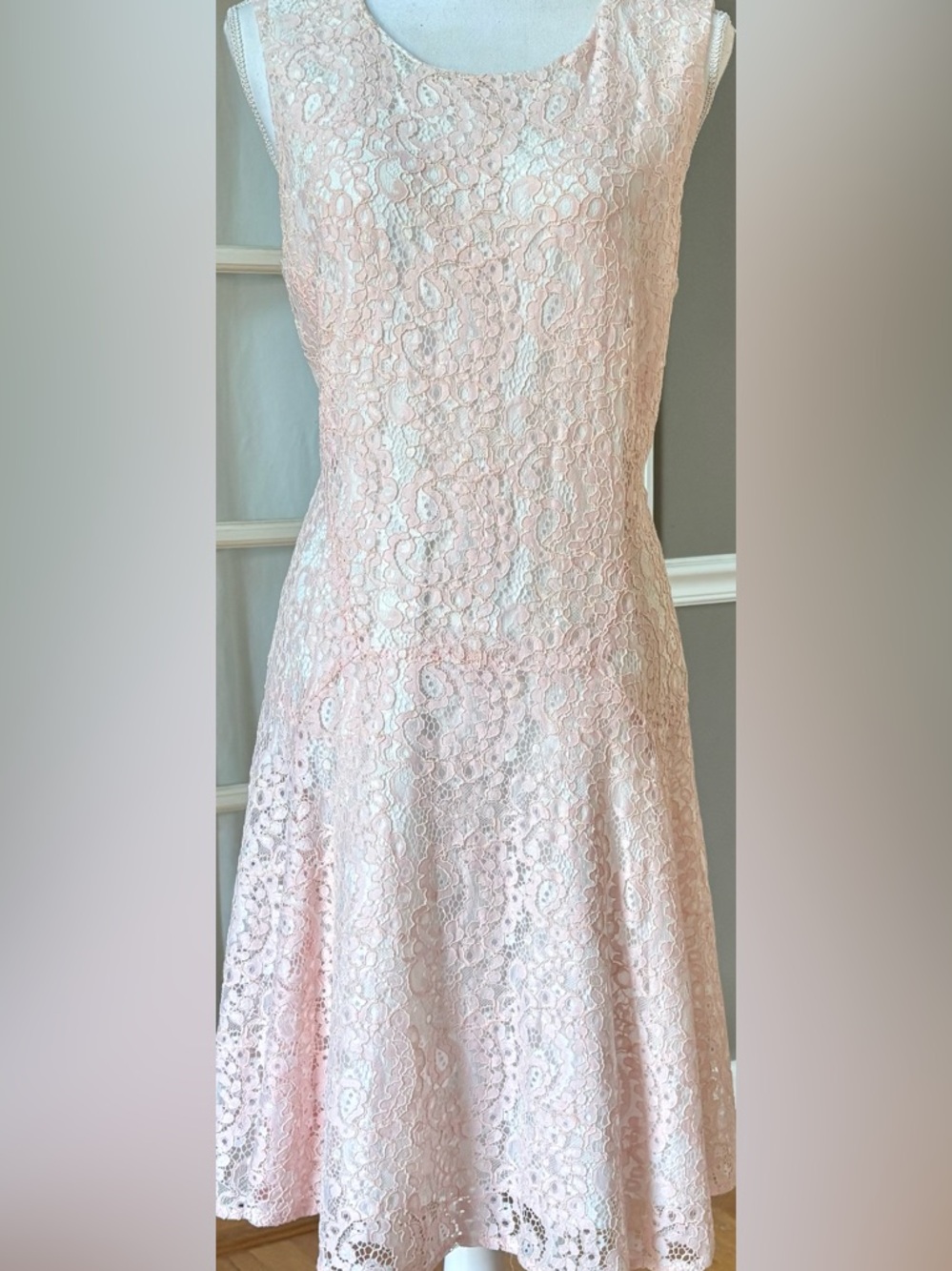 Blush Pink Lace Fit Flare Dress Sz 16 Wedding Guest Bridal Shower Spring Summer